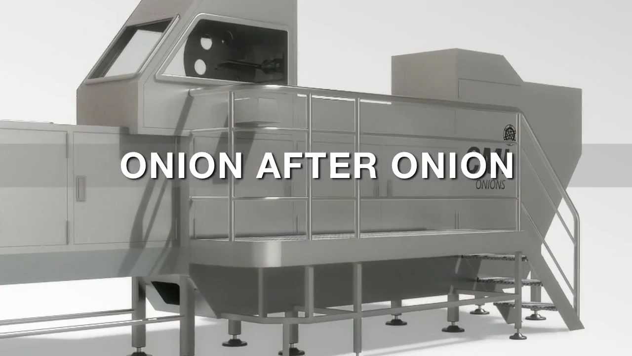 PLC8M ONION PEELER in Bellocchi, Italy